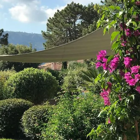 Villa Pieds Dans L Eau Porto-Vecchio (Corsica)