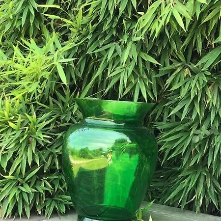 Pieds Dans L Eau Porto-Vecchio (Corsica)